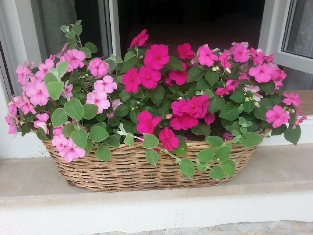 Apartment Rosa Apartman Crikvenica